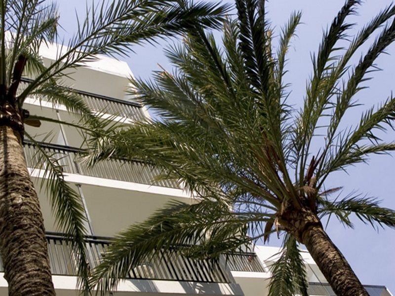 Bluesea Piscis - Adults Only 3* Port d'Alcúdia